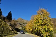 88 Scendiamo a Roncobello ammirando colori autunnali